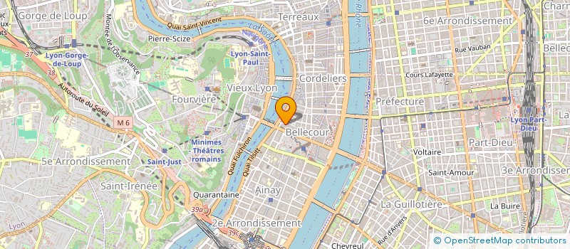 localisation de l'entreprise MONSIEUR GEORGICA-IULIAN BUZDUGAN  LYON