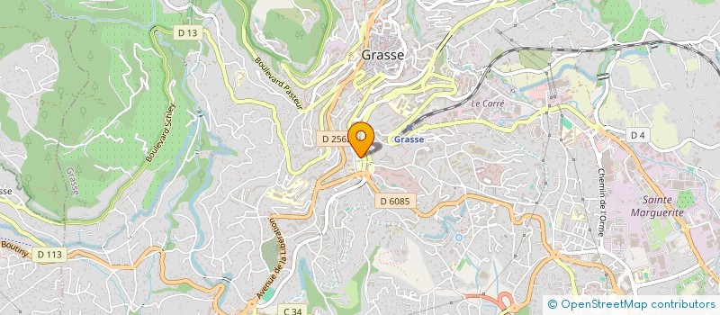 localisation de l'entreprise MONSIEUR GEORGIO LEON  GRASSE