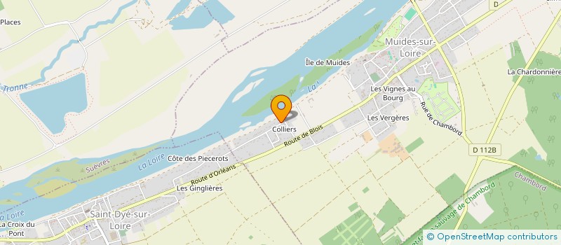 localisation de l'entreprise MONSIEUR GERALD BIZERAY  MUIDES-SUR-LOIRE