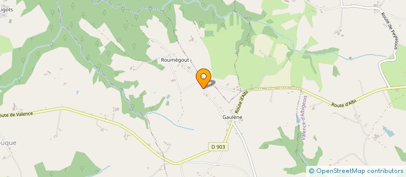 localisation de l'entreprise MONSIEUR GERALD BOUYSSIE  SAINT-JULIEN-GAULENE