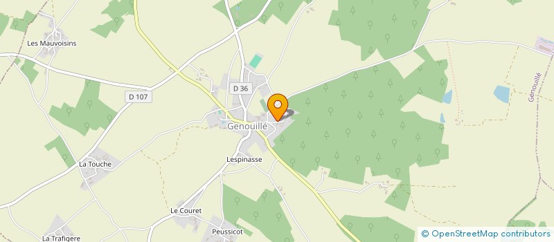 localisation de l'entreprise MONSIEUR GERALD CHANGEUR à GENOUILLE