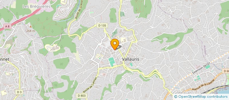 localisation de l'entreprise MONSIEUR GERARD ANJOU à VALLAURIS