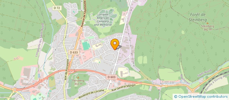 localisation de l'entreprise MONSIEUR GERARD BANZET  SAINT-AVOLD