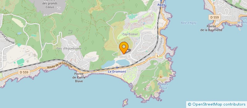 localisation de l'entreprise MONSIEUR GERARD BOURGEAT  SAINT-RAPHAEL