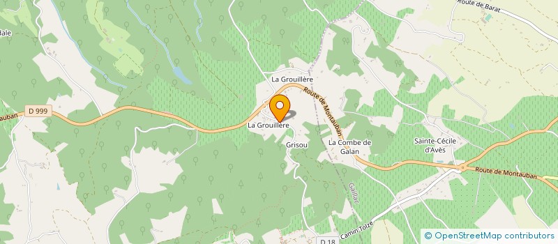 localisation de l'entreprise MONSIEUR GERARD BOUSQUET à LISLE-SUR-TARN