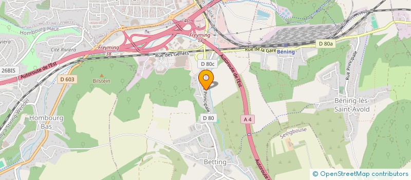 localisation de l'entreprise MONSIEUR GERARD BRACK à BETTING