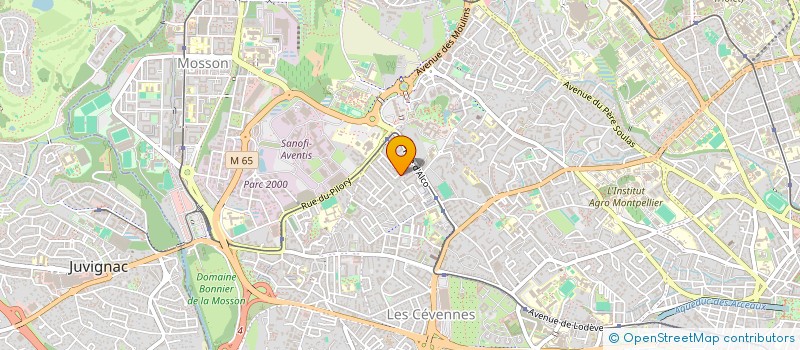 localisation de l'entreprise MONSIEUR GERARD BRZEGOWI à MONTPELLIER