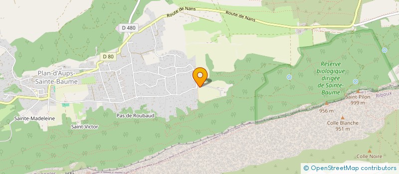 localisation de l'entreprise MONSIEUR GERARD CASTELLI  PLAN-D'AUPS-SAINTE-BAUME