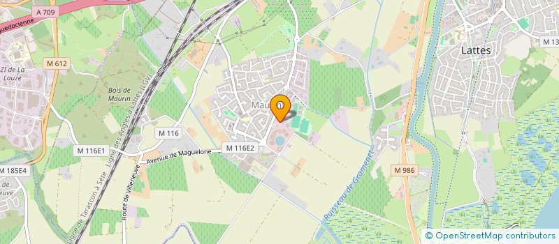 localisation de l'entreprise MONSIEUR GERARD CREA à LATTES