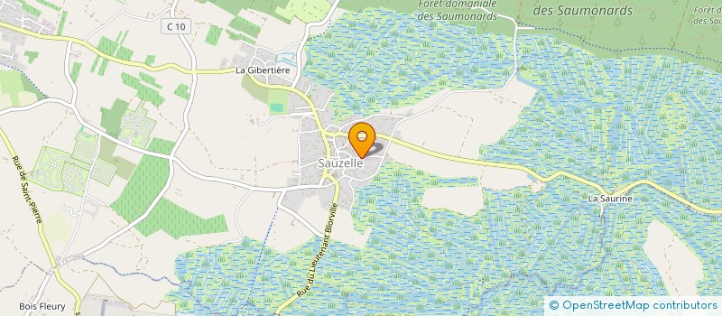 localisation de l'entreprise MONSIEUR GERARD DELAVOIS  SAINT GEORGES D'OLERON