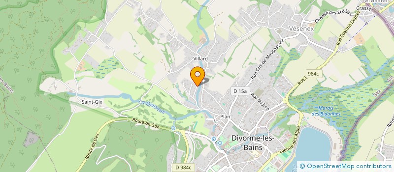 localisation de l'entreprise MONSIEUR GERARD DEPAYRE à DIVONNE-LES-BAINS