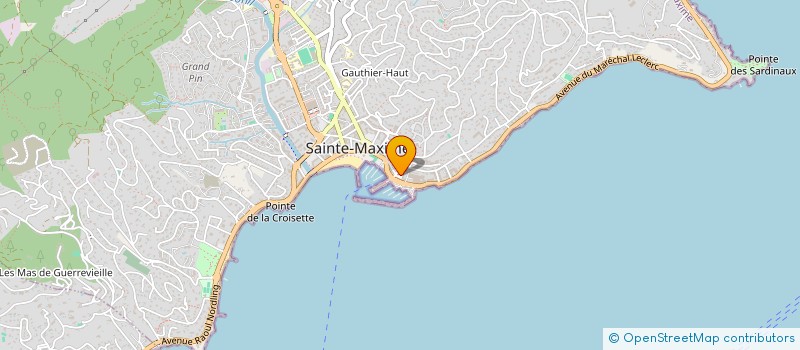 localisation de l'entreprise MONSIEUR GERARD DOMINIKOWSKI à SAINTE MAXIME