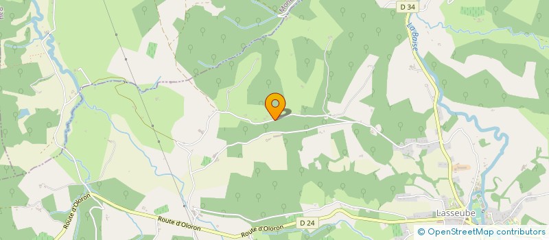 localisation de l'entreprise MONSIEUR GERARD GALLON  LASSEUBE