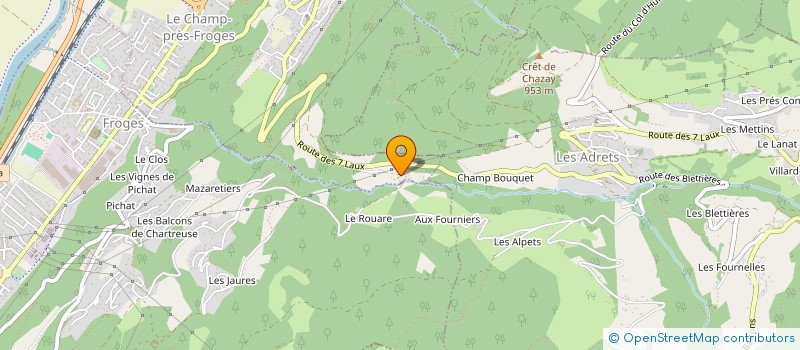 localisation de l'entreprise MONSIEUR GERARD GALVIN  LE CHAMP-PRES-FROGES