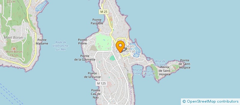 localisation de l'entreprise MONSIEUR GERARD GUILLERMONT  SAINT-JEAN-CAP-FERRAT