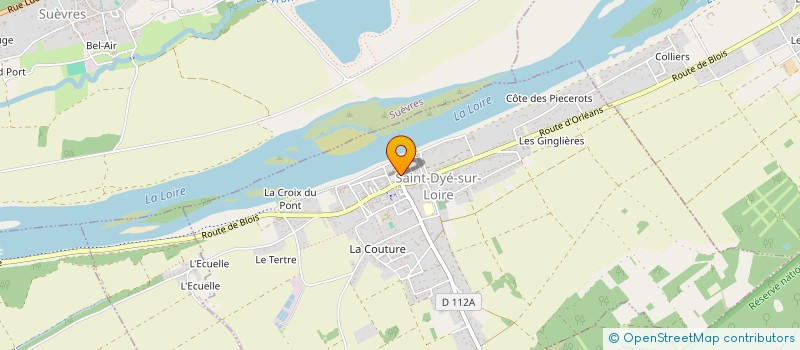 localisation de l'entreprise MONSIEUR GERARD HOURY à SAINT-DYE-SUR-LOIRE