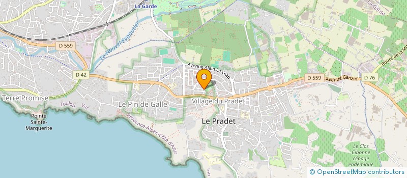 localisation de l'entreprise MONSIEUR GERARD JOSEPH ZINERCO à LE PRADET