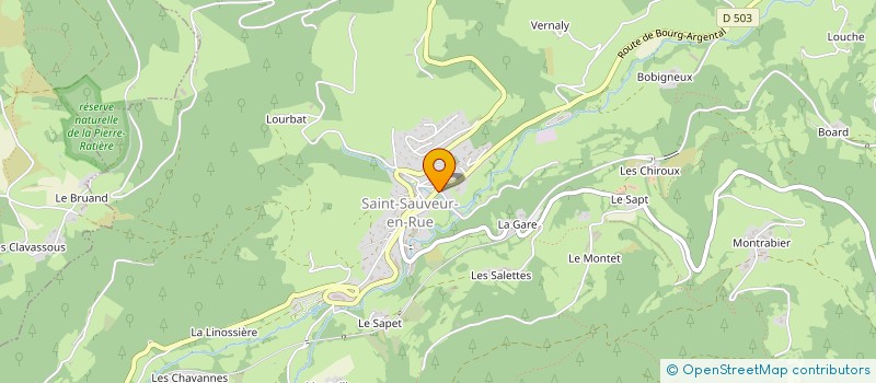 localisation de l'entreprise MONSIEUR GERARD LEBORGNE à SAINT-SAUVEUR-EN-RUE