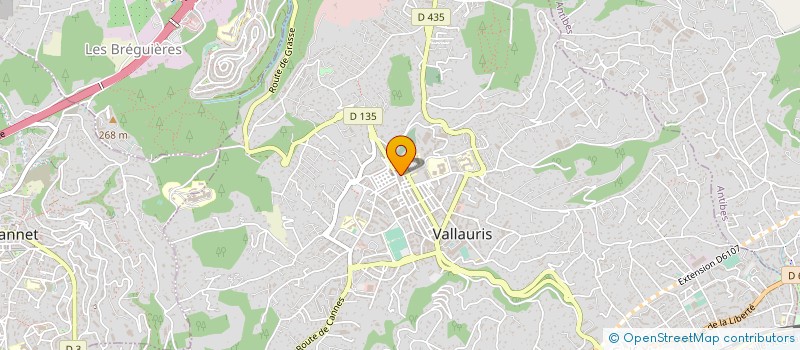 localisation de l'entreprise MONSIEUR GERARD LECLAIRE à VALLAURIS