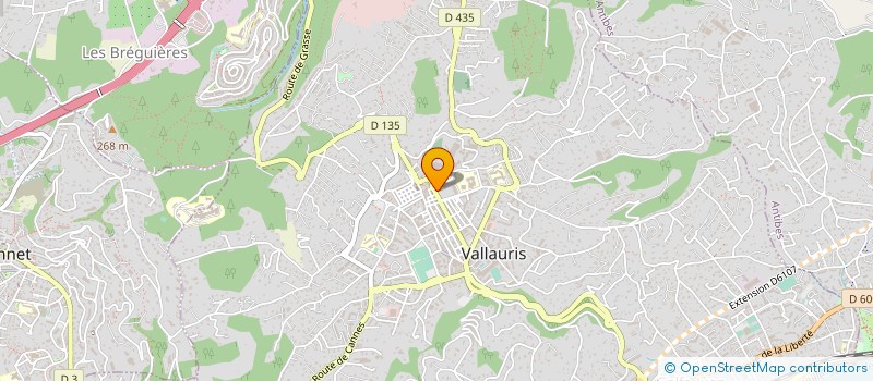 localisation de l'entreprise MONSIEUR GERARD MEDAGLIA à VALLAURIS