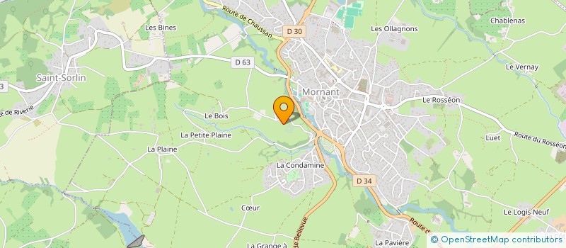 localisation de l'entreprise MONSIEUR GERARD MICHEL à MORNANT
