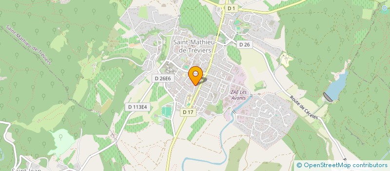 localisation de l'entreprise MONSIEUR GERARD MICHEL  SAINT-MATHIEU-DE-TREVIERS