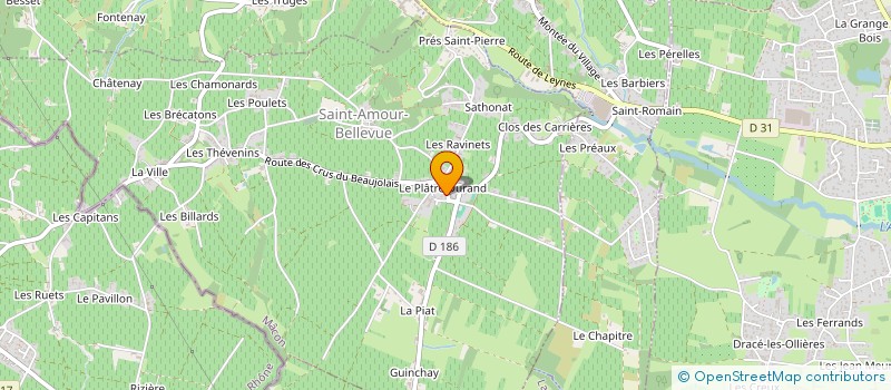 localisation de l'entreprise MONSIEUR GERARD MONDANGE à CHASSELAS