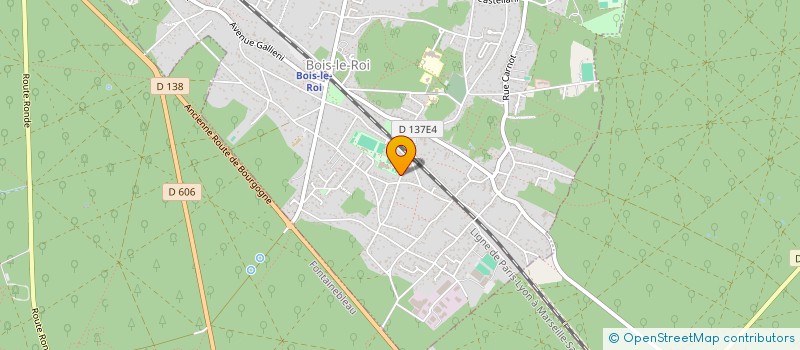 localisation de l'entreprise MONSIEUR GERARD OCHEM  BOIS-LE-ROI