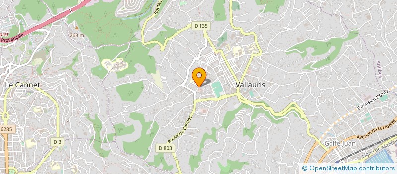 localisation de l'entreprise MONSIEUR GERARD ORLANDO à VALLAURIS