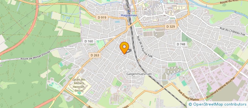 localisation de l'entreprise MONSIEUR GERARD PINARD  HAGUENAU