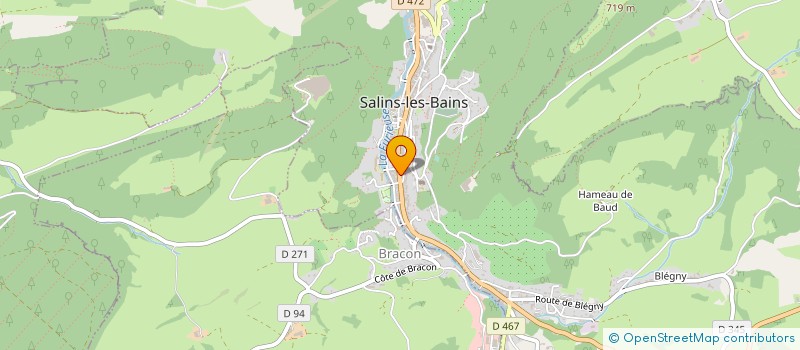 localisation de l'entreprise MONSIEUR GERARD RACLE  SALINS-LES-BAINS