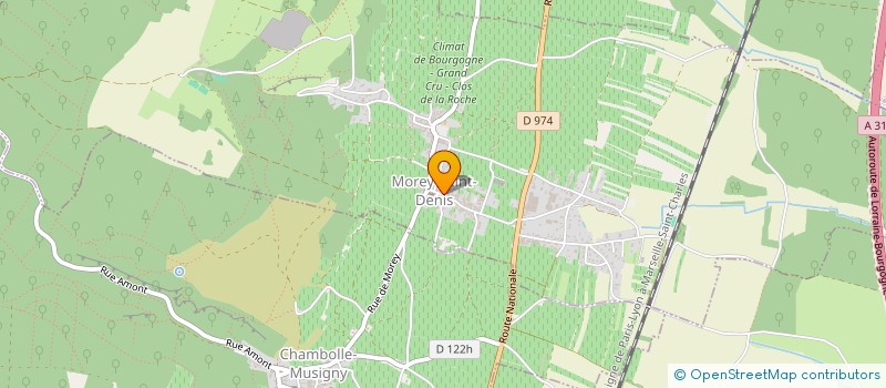 localisation de l'entreprise MONSIEUR GERARD RAPHET  MOREY-SAINT-DENIS