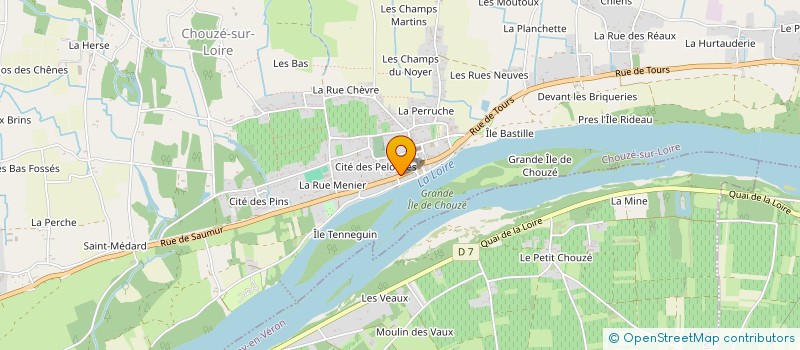 localisation de l'entreprise MONSIEUR GERARD SALIN à CHOUZE-SUR-LOIRE
