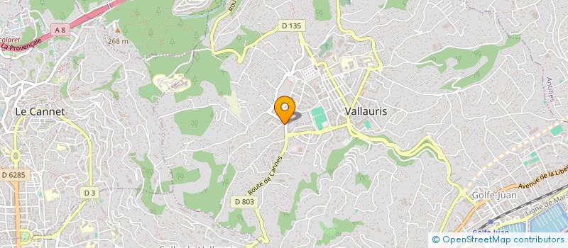 localisation de l'entreprise MONSIEUR GERARD SZAFRANIEC à VALLAURIS