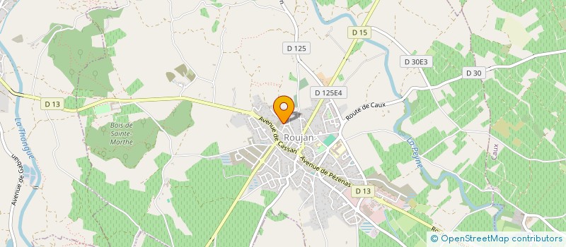 localisation de l'entreprise MONSIEUR GERARD THOMAS  ROUJAN