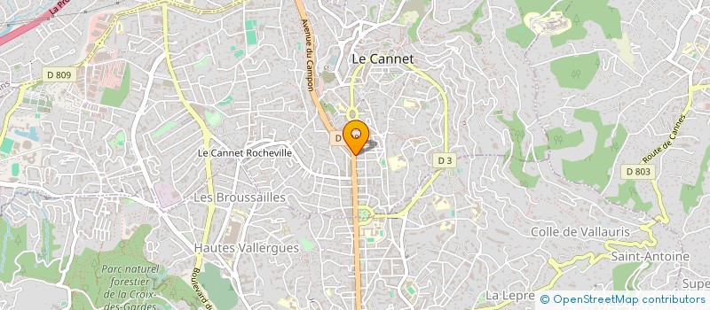 localisation de l'entreprise MONSIEUR GERARD TSCHIEMBER à LE CANNET