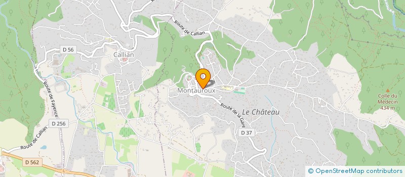 localisation de l'entreprise MONSIEUR GERARD VANBESIEN  MONTAUROUX