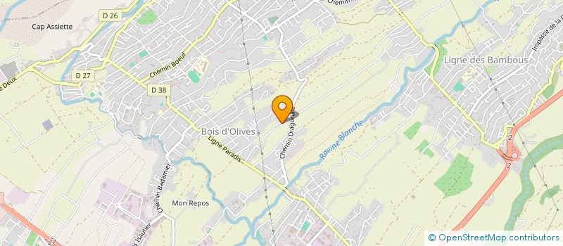 localisation de l'entreprise MONSIEUR GERMAIN GIGANT  LE TAMPON