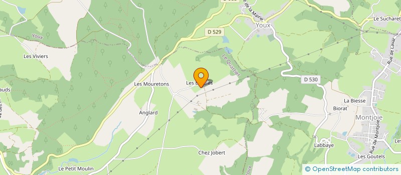 localisation de l'entreprise MONSIEUR GERRIT VAN VEENENDAAL  PIONSAT