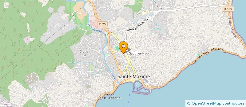 localisation de l'entreprise MONSIEUR GERSHON VORNIS à SAINTE-MAXIME