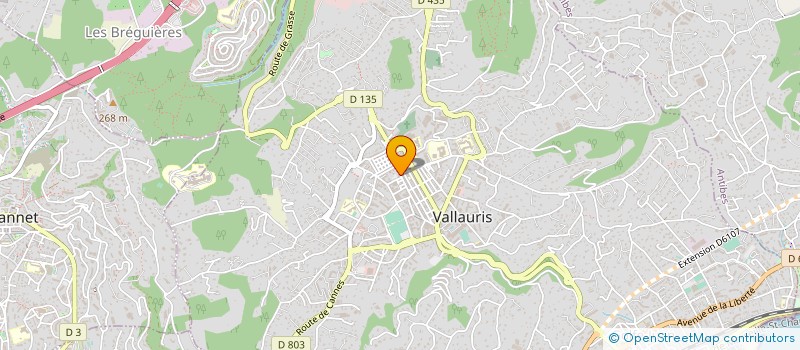 localisation de l'entreprise MONSIEUR GHASSEN ABID à VALLAURIS