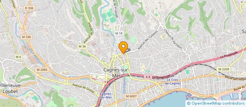 localisation de l'entreprise MONSIEUR GHENADIE DREGLEA à CAGNES-SUR-MER