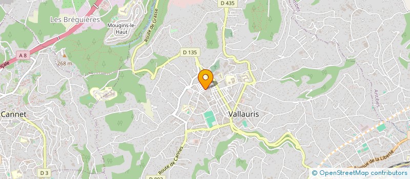 localisation de l'entreprise MONSIEUR GHEORGHE-MARIAN DINU à VALLAURIS