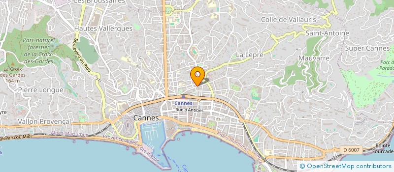 localisation de l'entreprise MONSIEUR GHEORGHE REMUS BUDI à CANNES