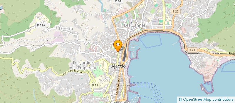 localisation de l'entreprise MONSIEUR GHJUVAN LECA à AJACCIO
