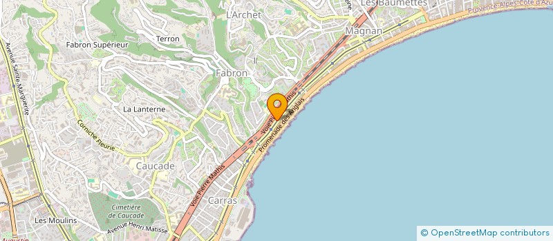 localisation de l'entreprise MONSIEUR GIANFRANCO BALDUZZI à NICE