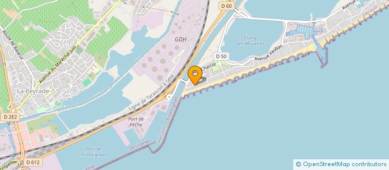 localisation de l'entreprise MONSIEUR GILBERT COURS à FRONTIGNAN