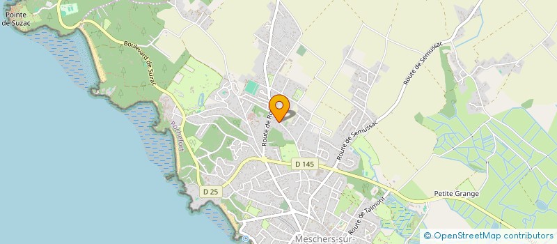 localisation de l'entreprise MONSIEUR GILBERTO DE OLIVEIRA NENOS  MESCHERS-SUR-GIRONDE