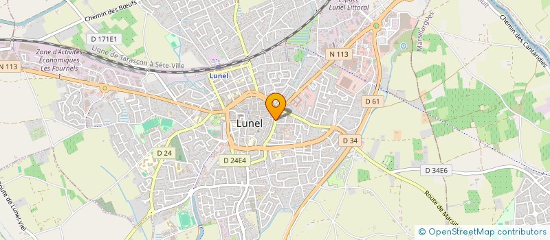 localisation de l'entreprise MONSIEUR GILLES BORG à LUNEL