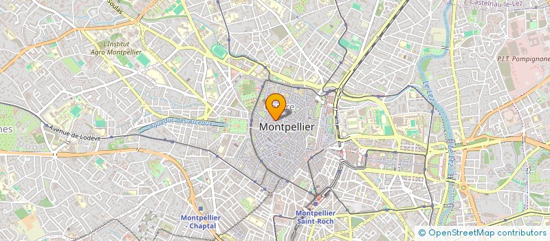 localisation de l'entreprise MONSIEUR GILLES BUONOMO à MONTPELLIER